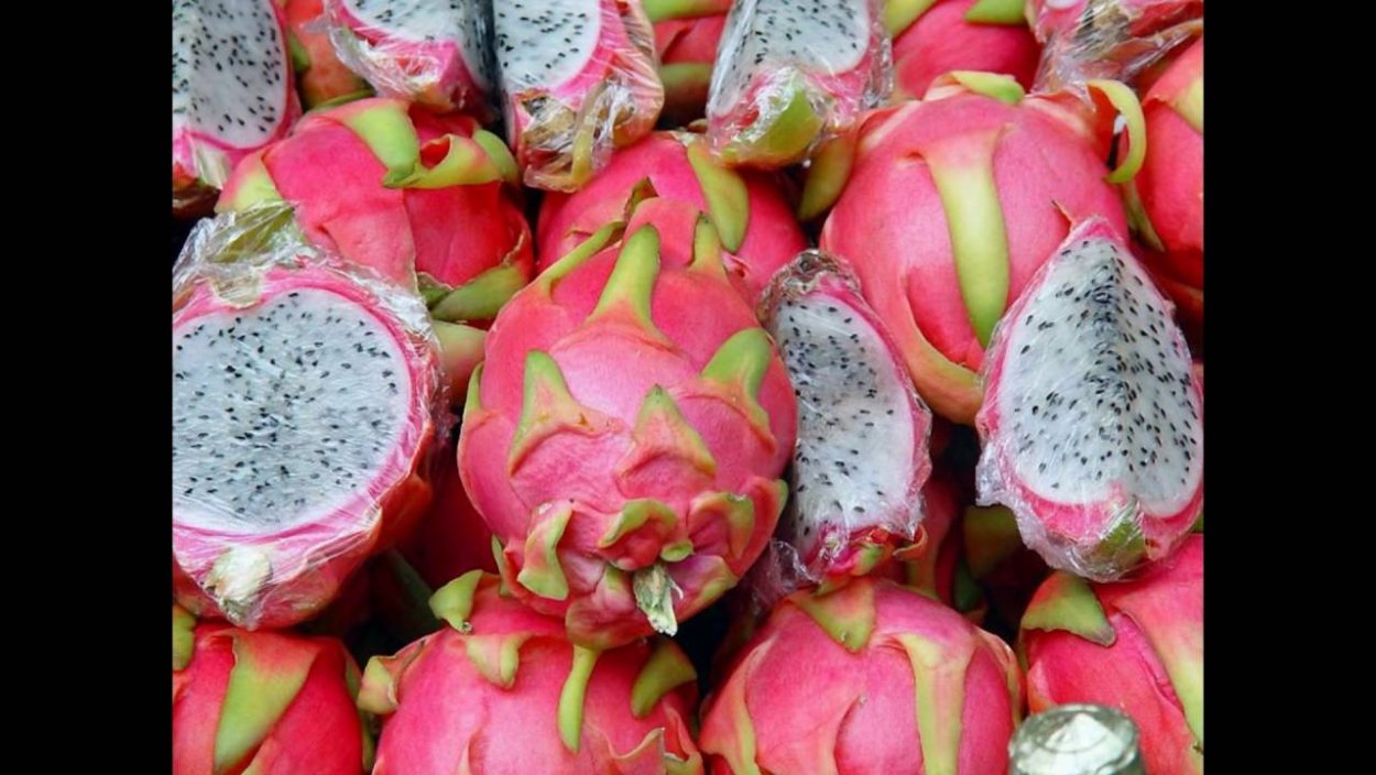 Рамбутан мангустин