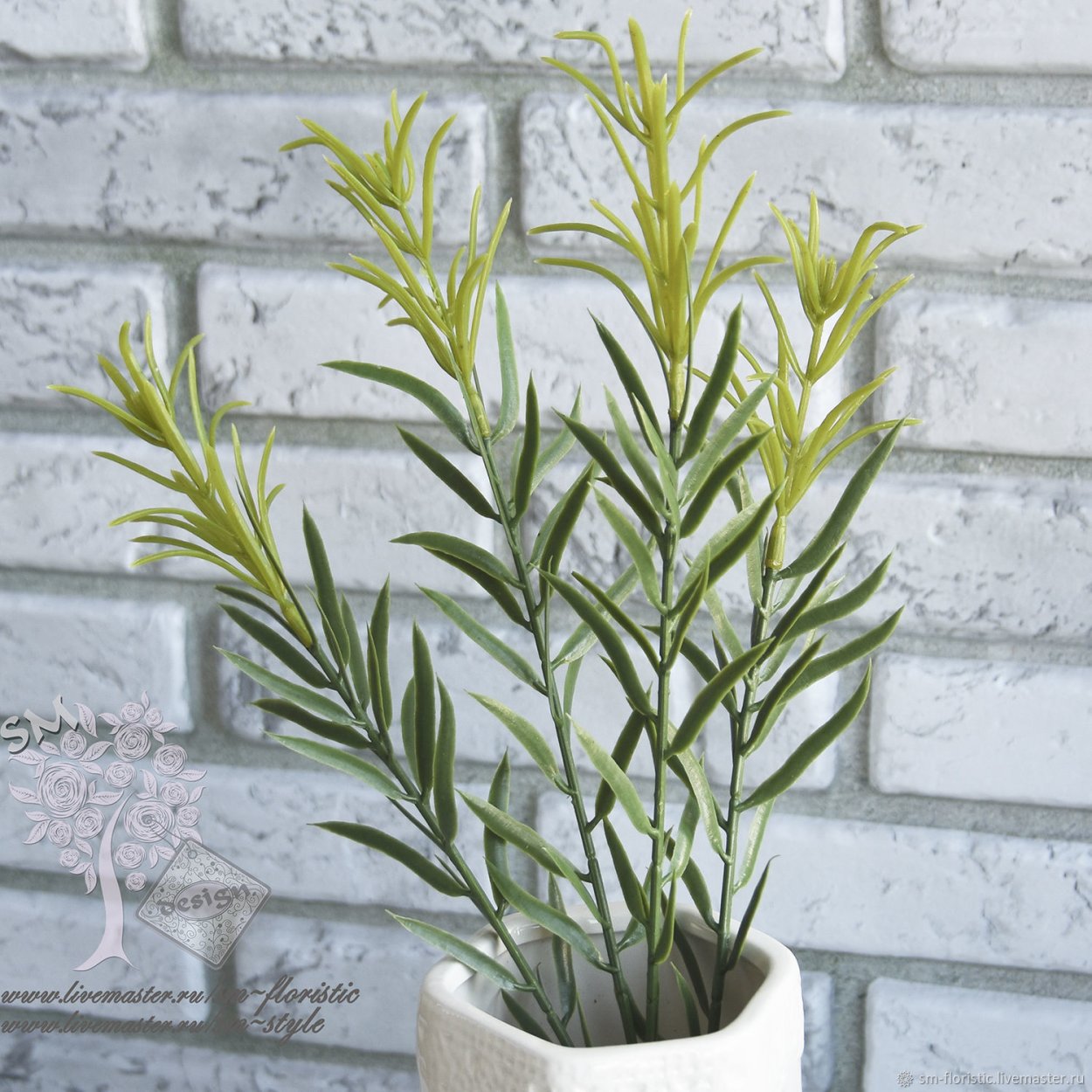 Сеянцы розмарина