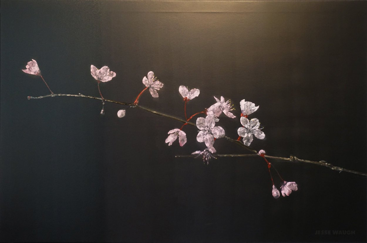 Ветка Сакуры