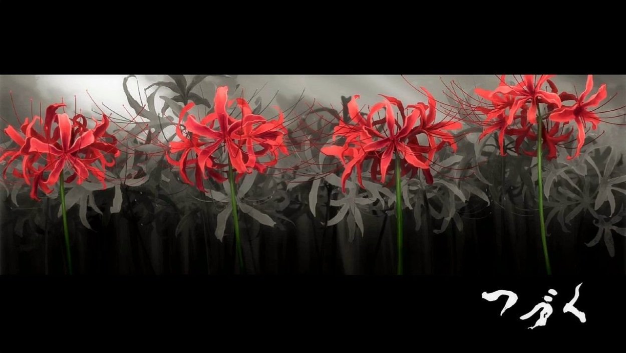 Хиганбана ликорис Эстетика