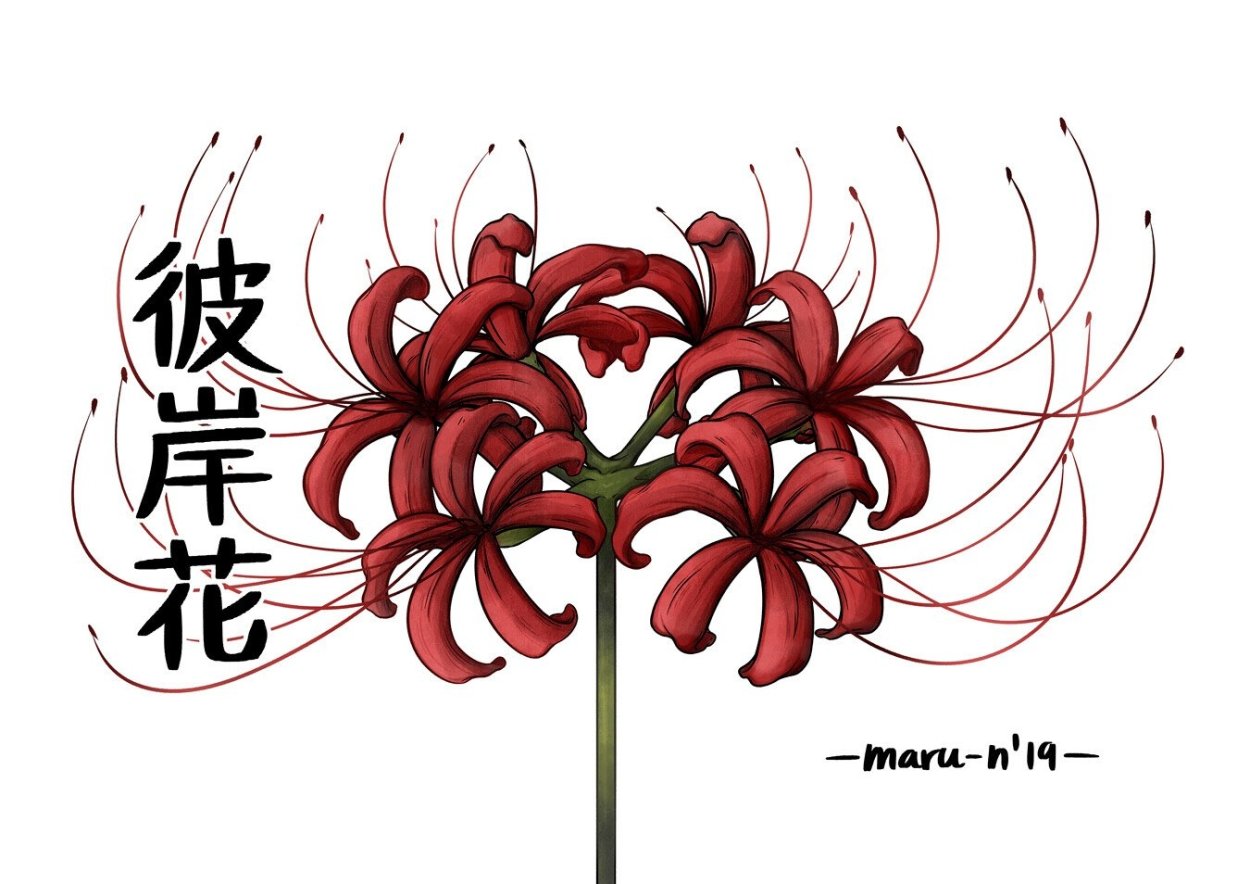 Японский цветок смерти