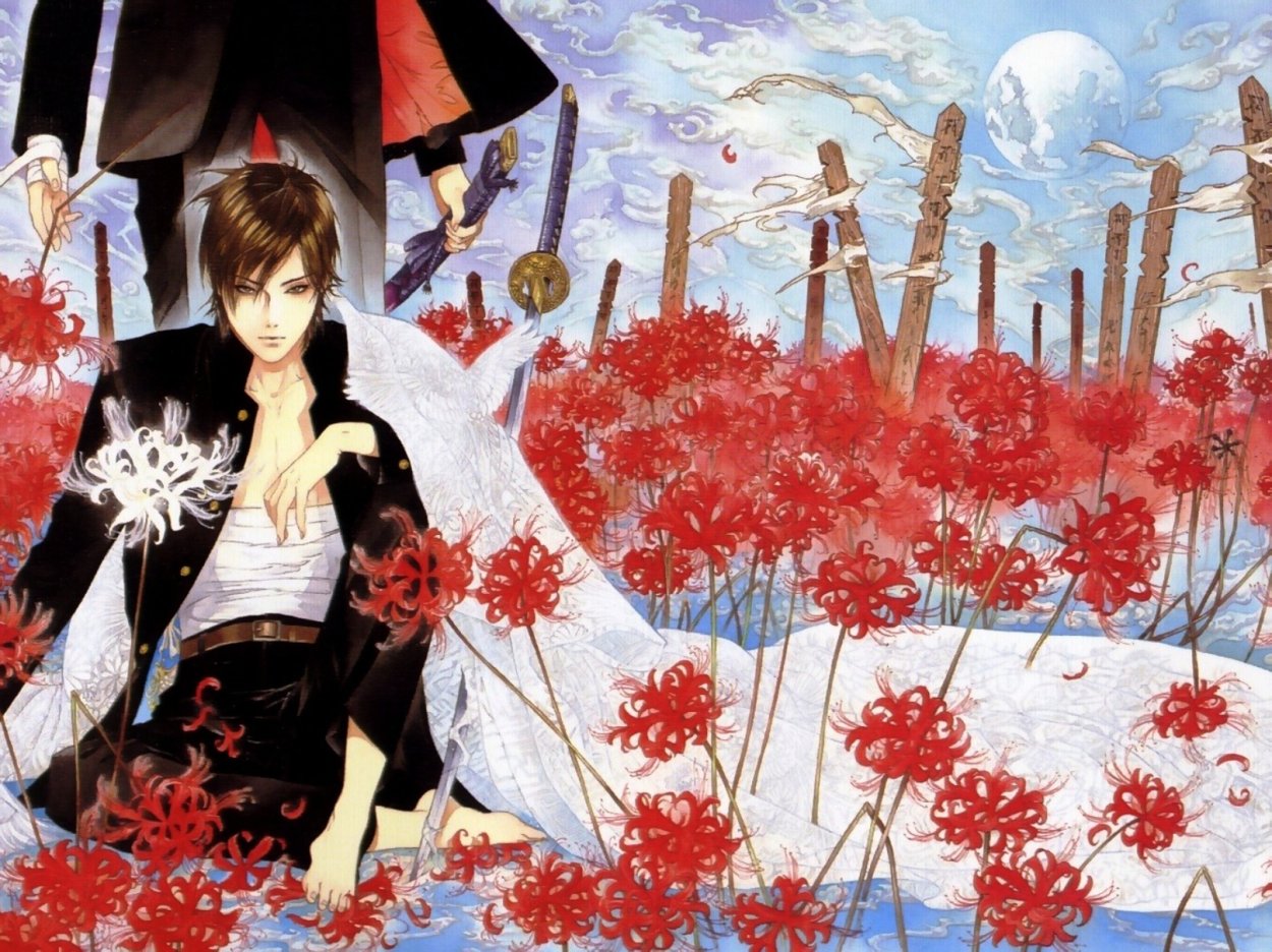 Хиганбана цветок аниме