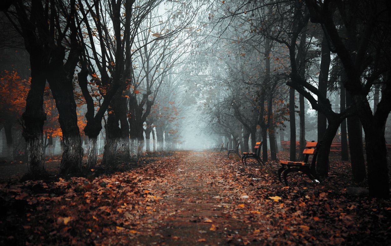 Осенний город