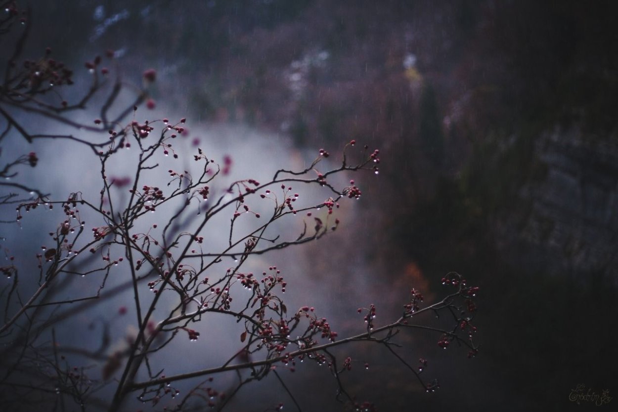 Поздняя осень Эстетика