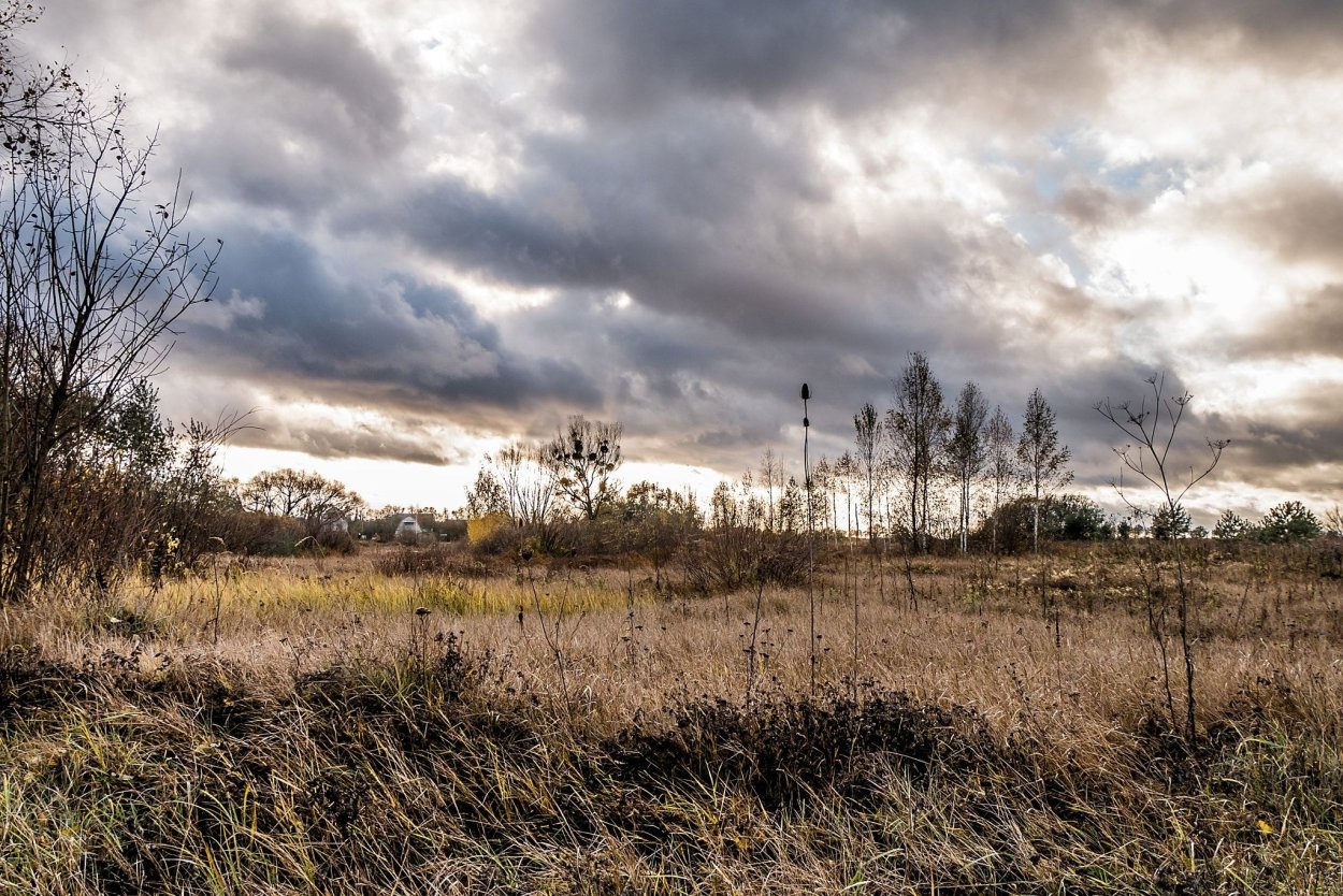 Пух норки "хмурое небо" (803)