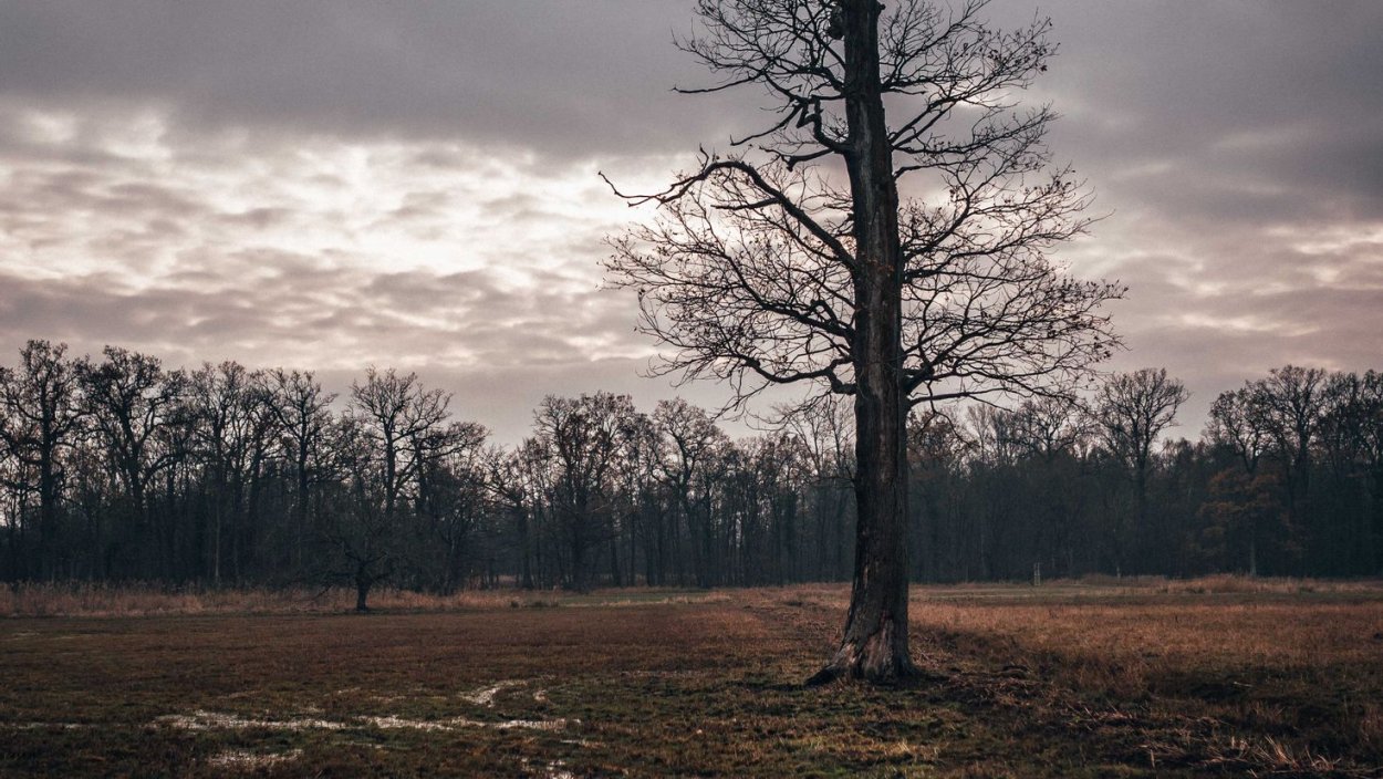 Вид из окна осень