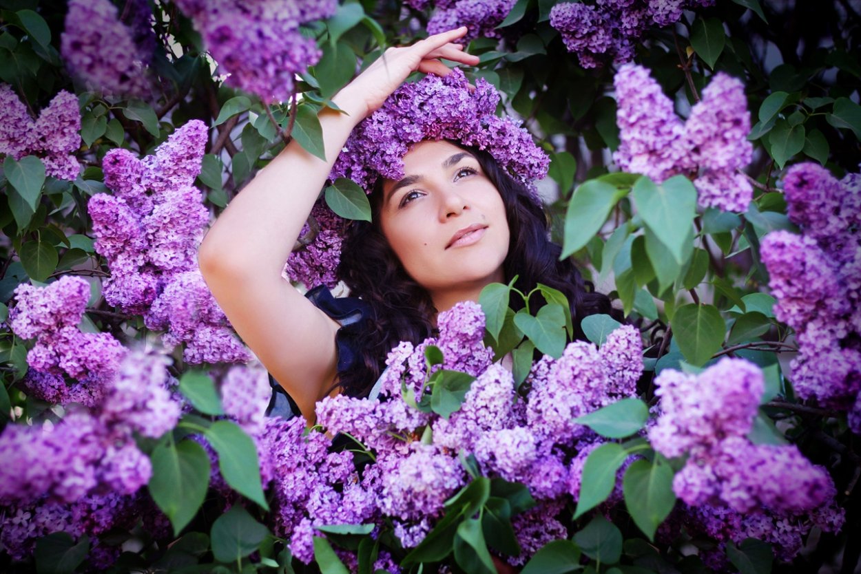 Девушка с сиренью