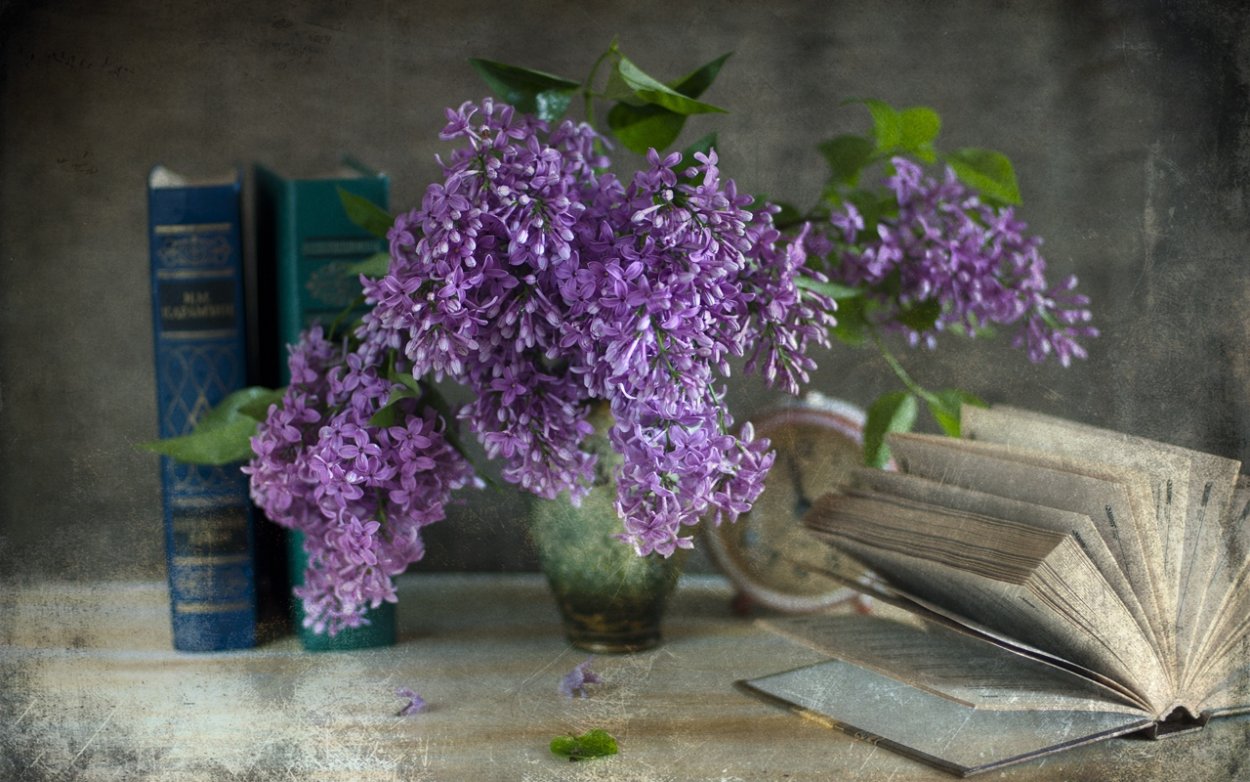 Сирень и книга