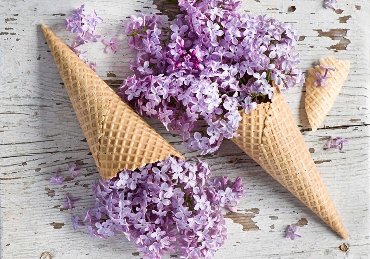 Цветы в рожке от мороженого