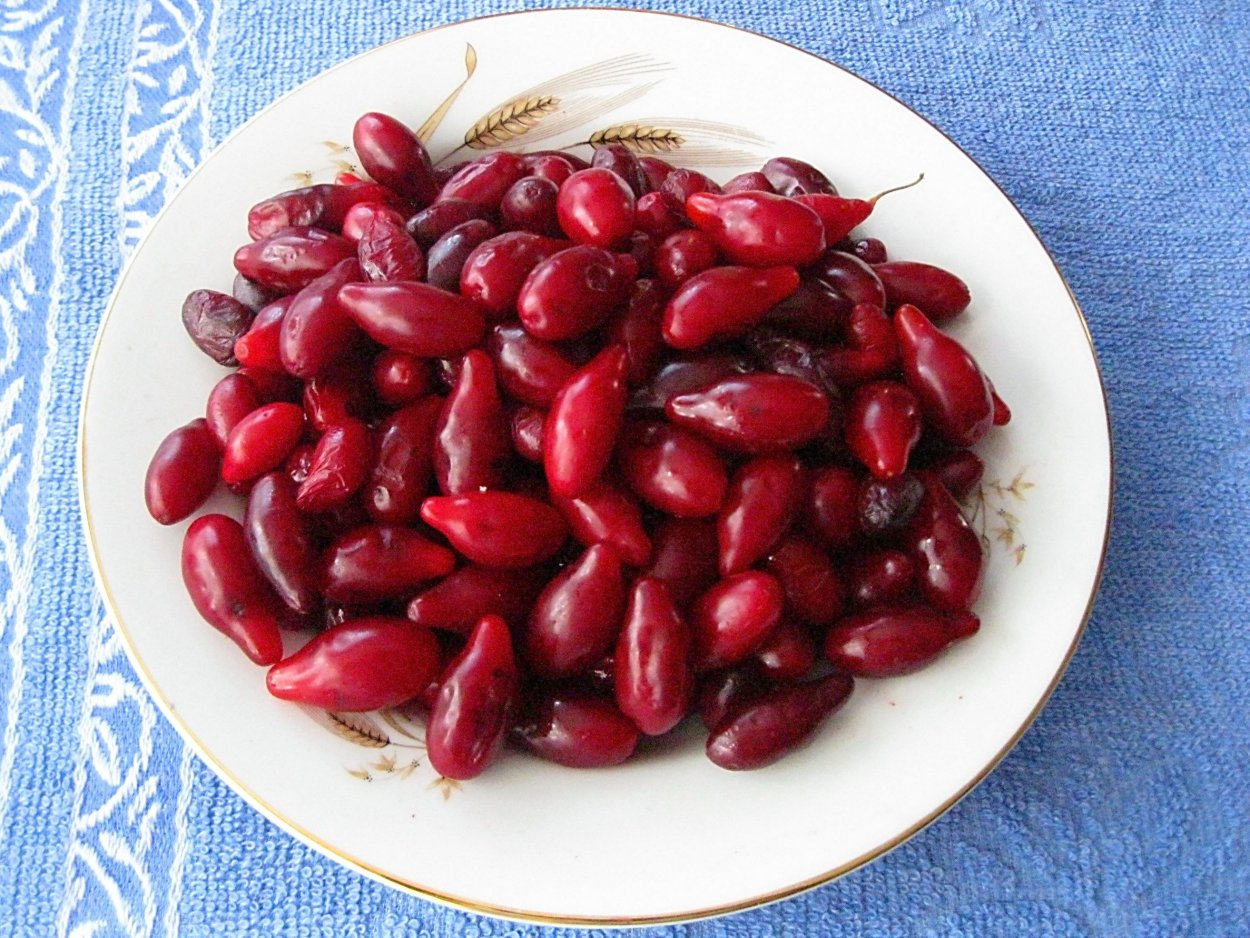 Джида ягоды