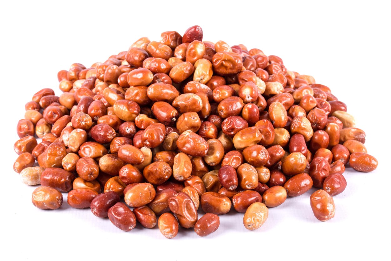 Elaeagnus rhamnoides