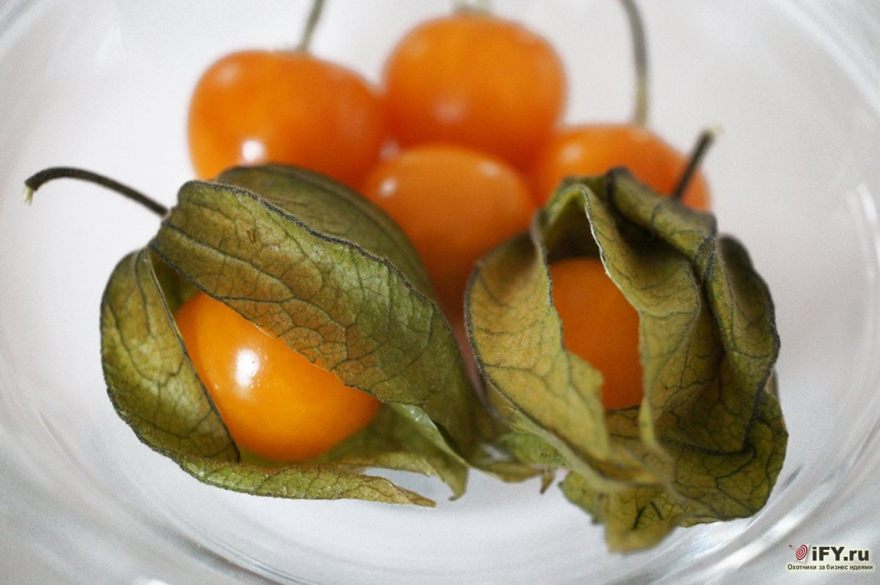 Физалис Земляничный