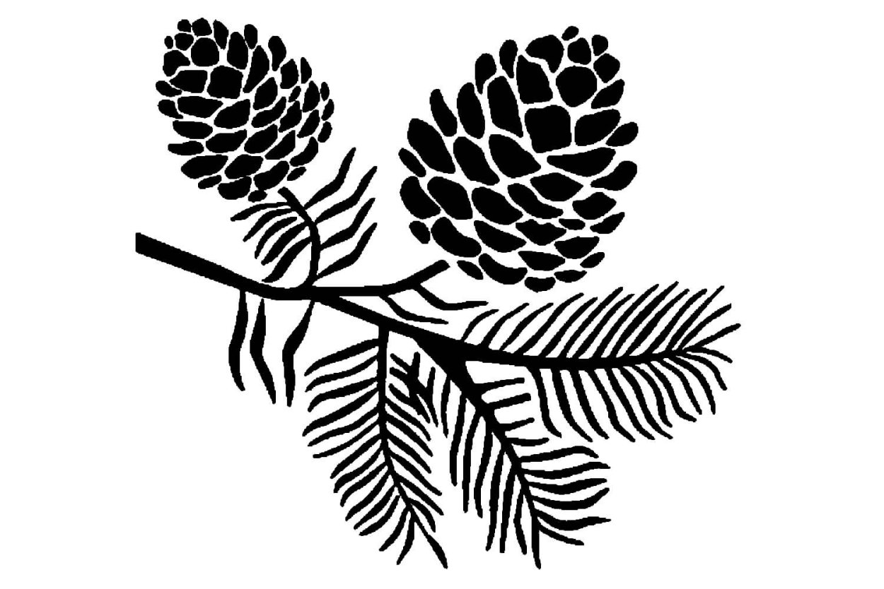 Шишка трафарет