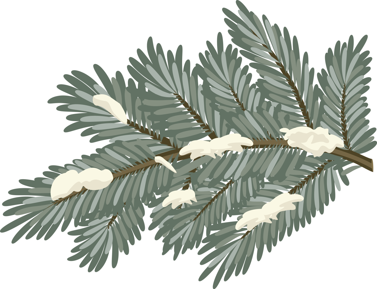 Хвойная ветка на окно