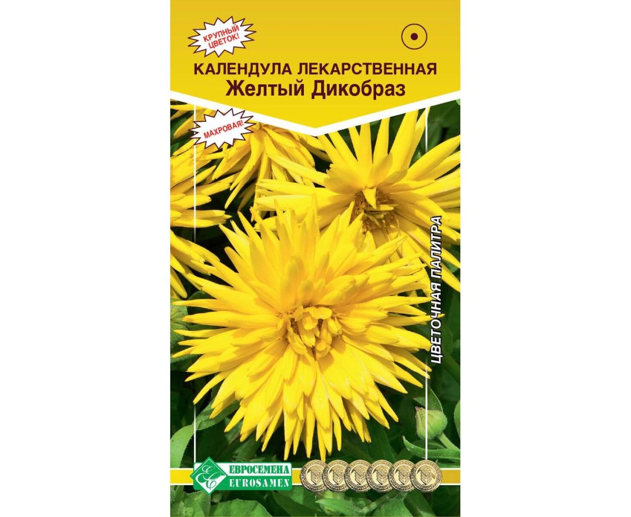 Календула Дикобраз