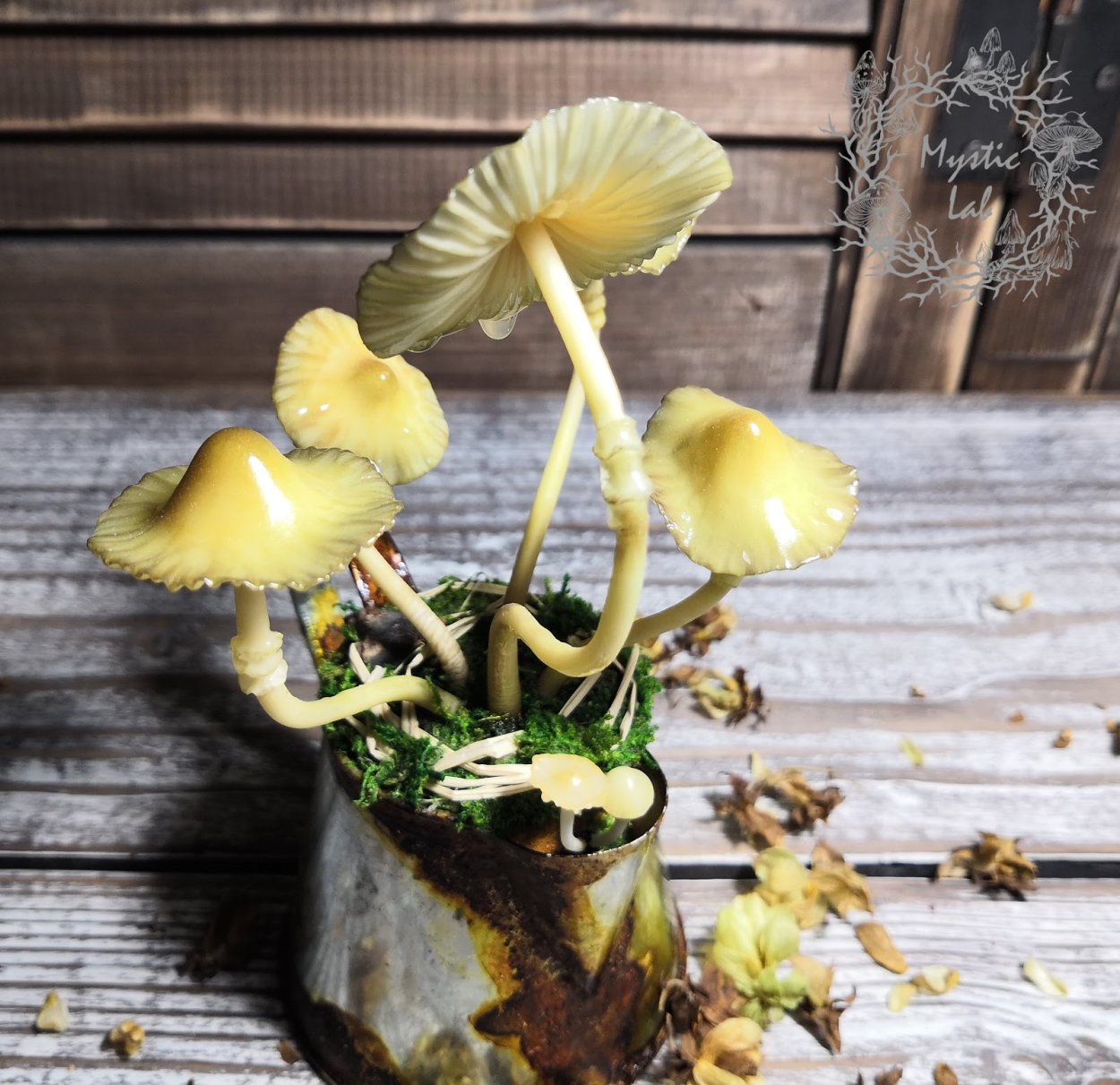 Прикольные цветы в горшке