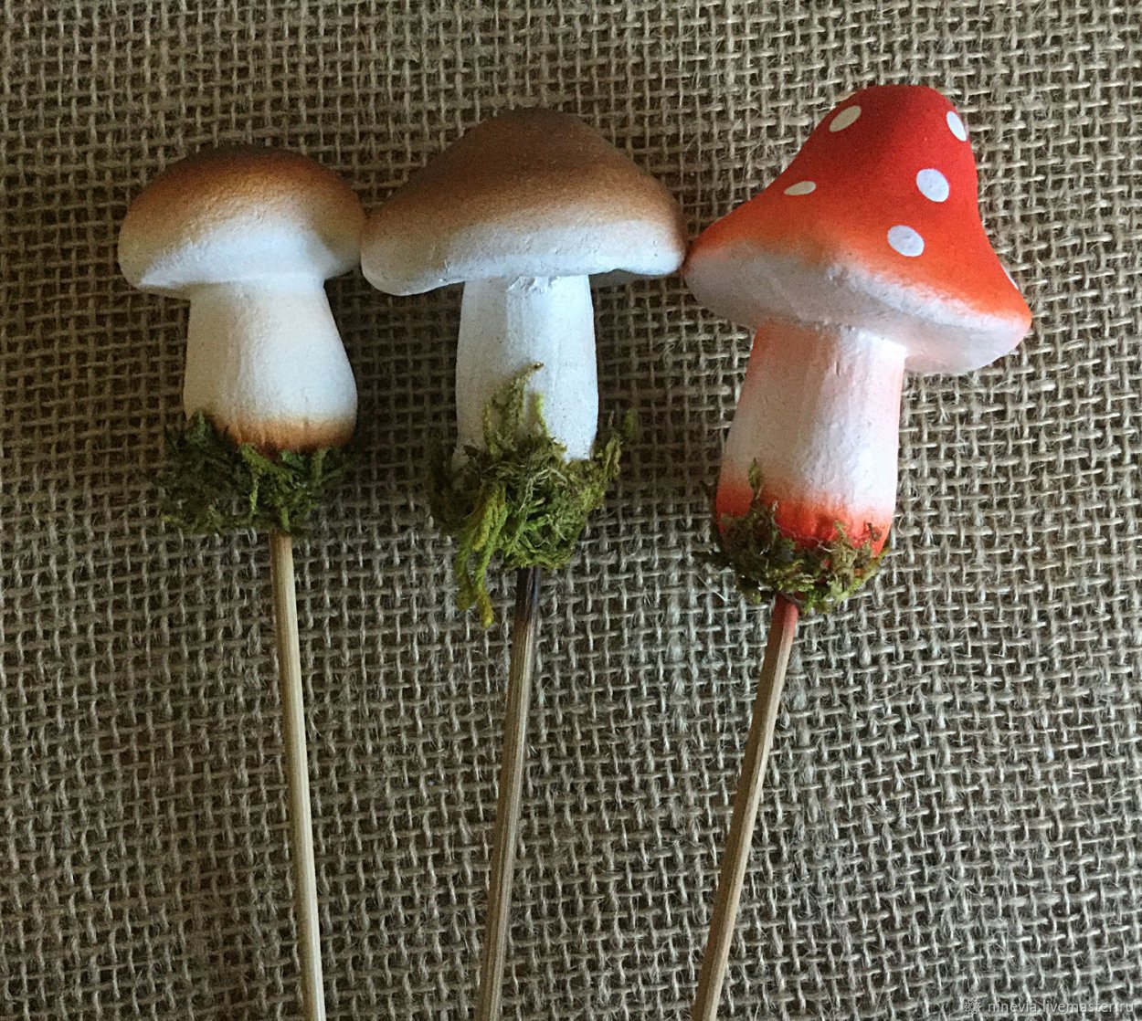 Бледная поганка Вольво