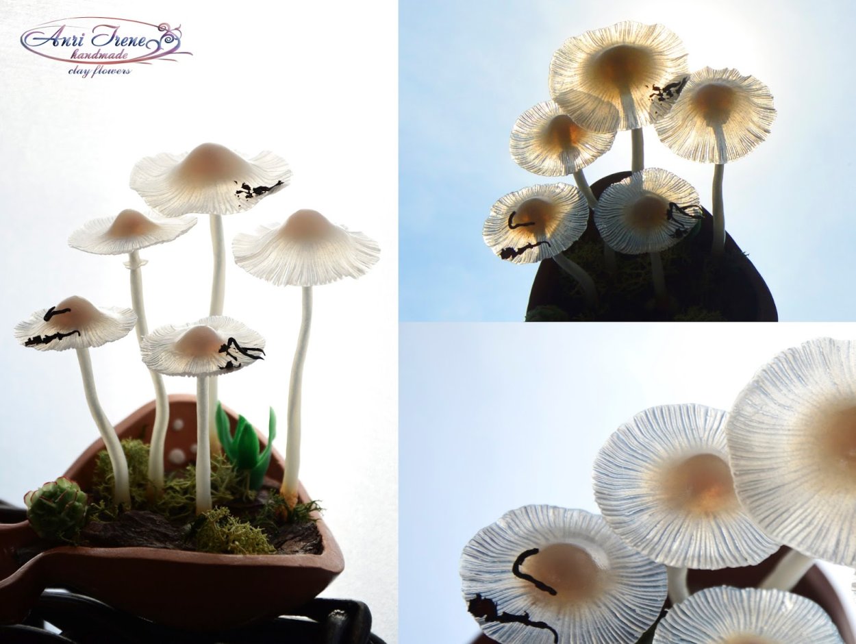 Грибы поганки из полимерной глины