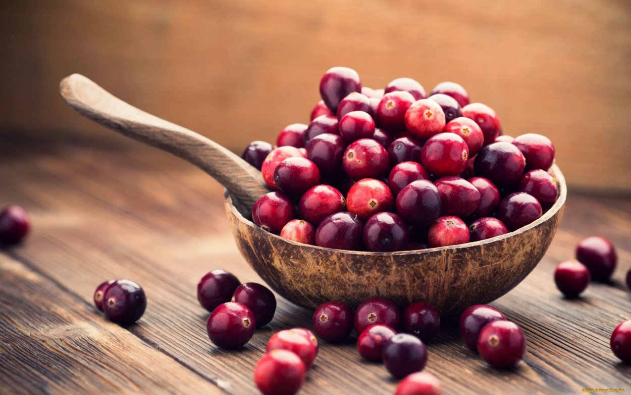 Клюква ягода