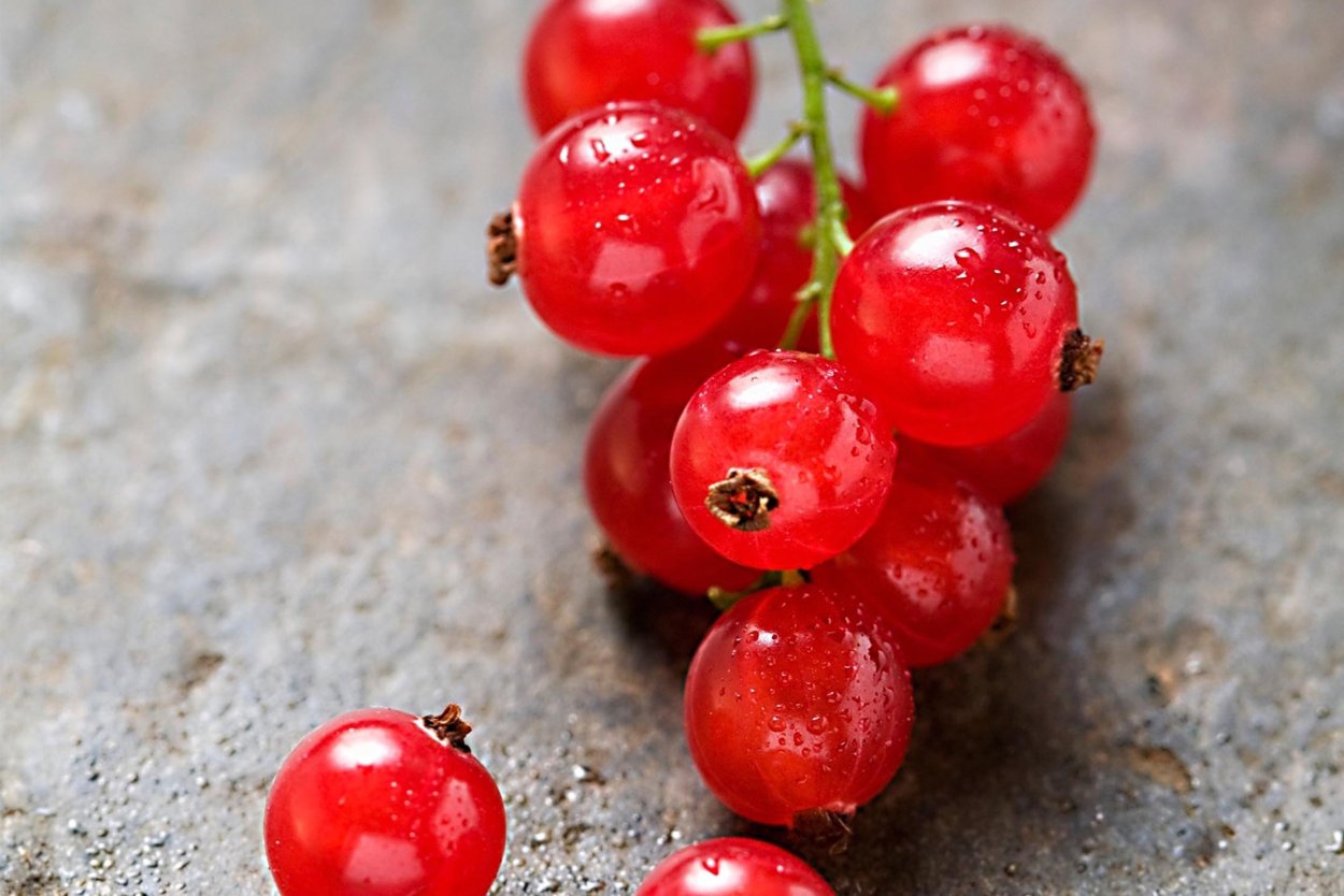 Маленькие красные ягодки