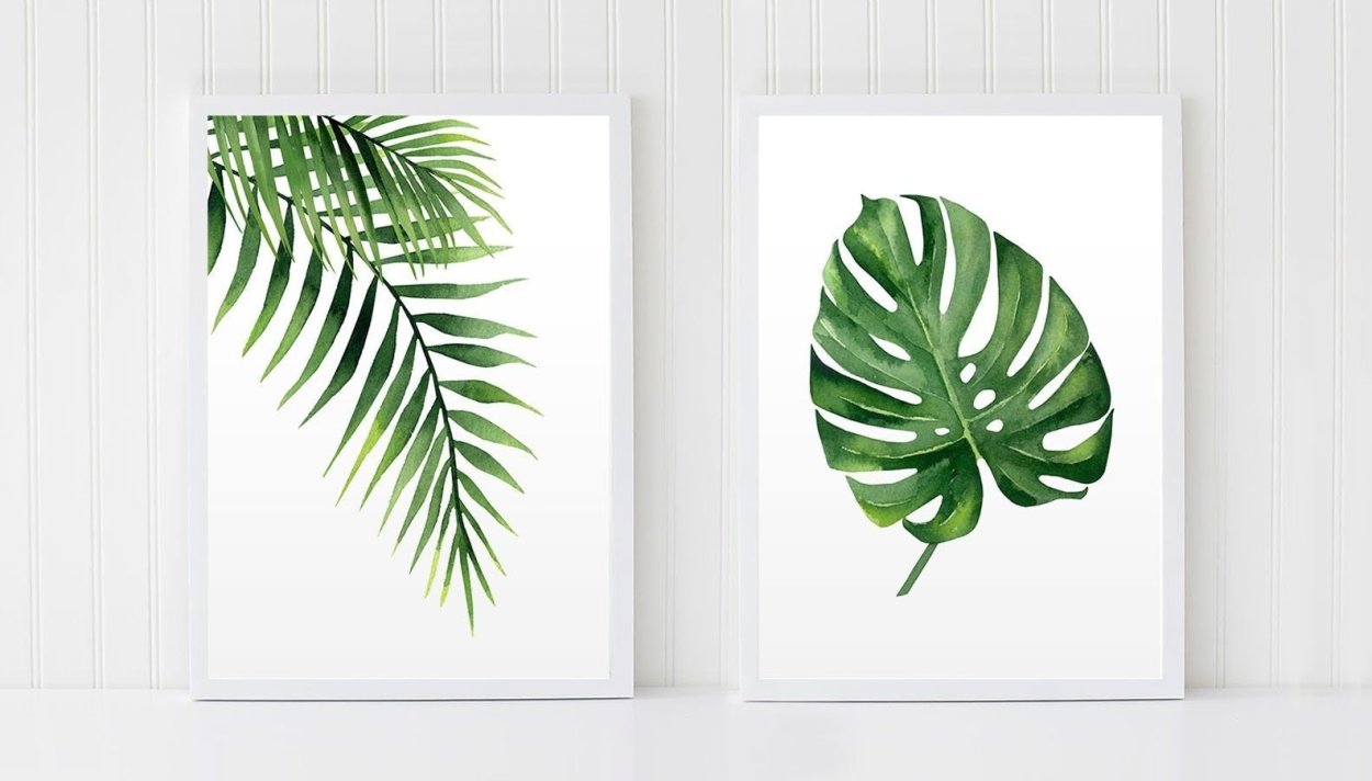 Монстера эскулетто