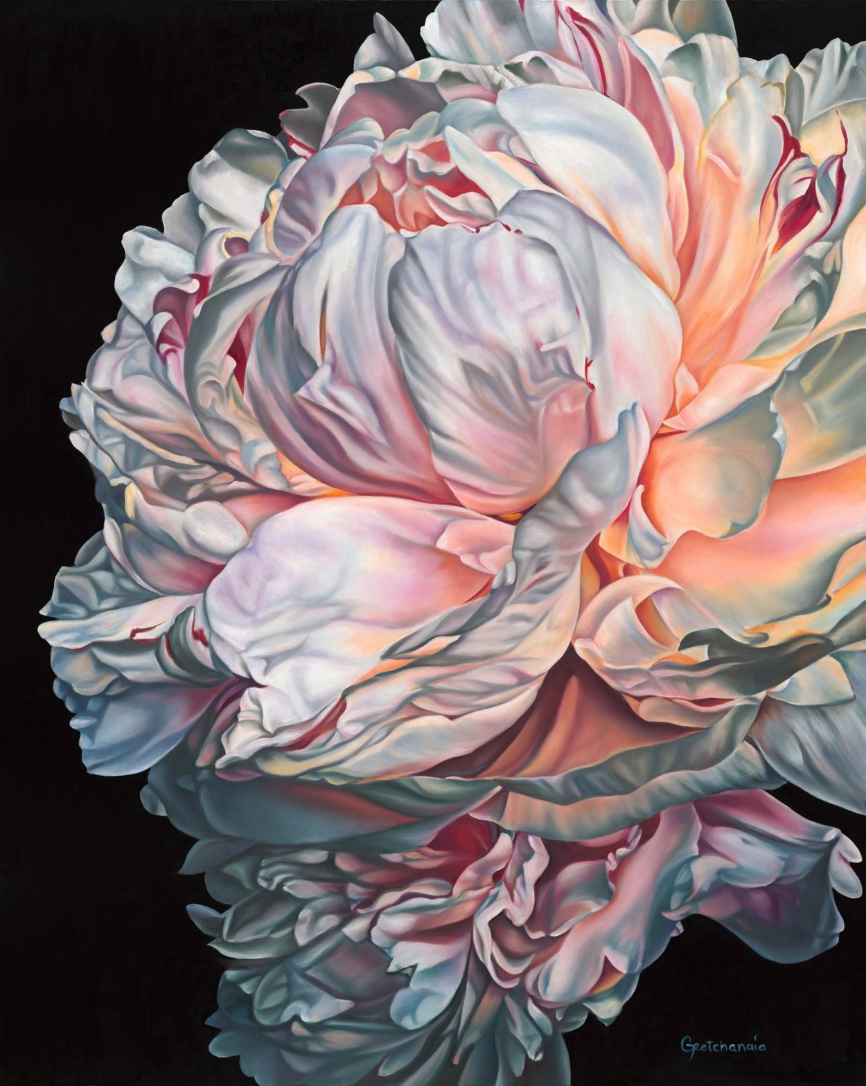 Cathy Hillegas пионы