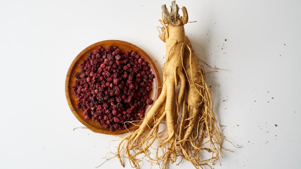 Дальневосточный дикий женьшень