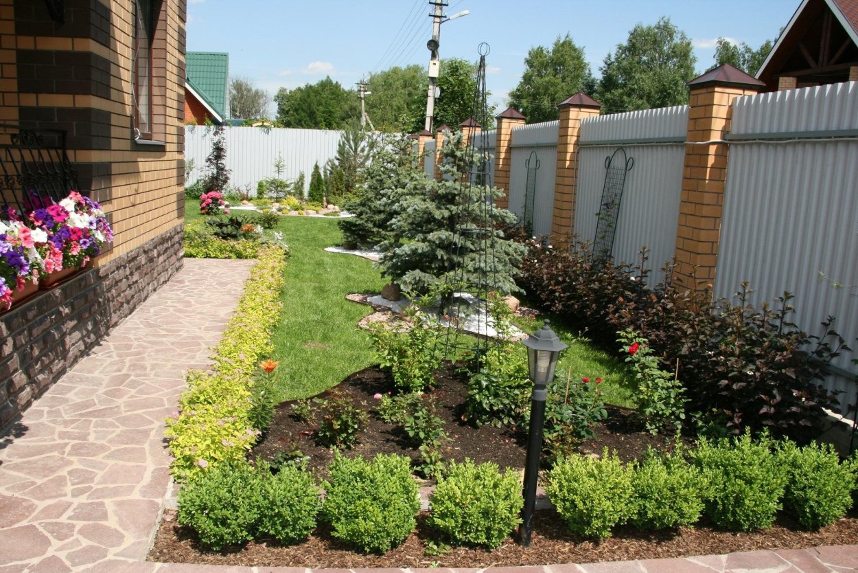 Вереск Живая изгородь