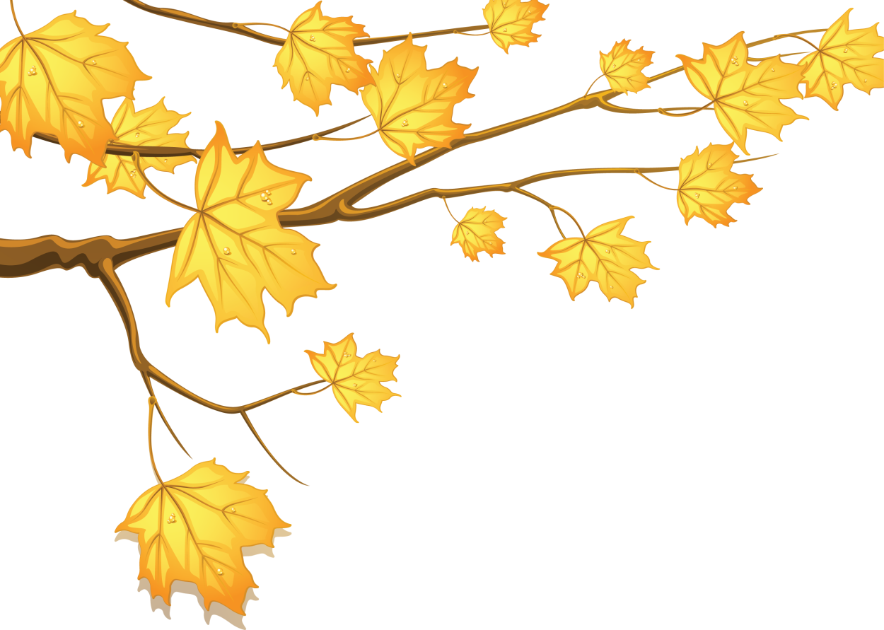 Осенняя ветка на прозрачном фоне