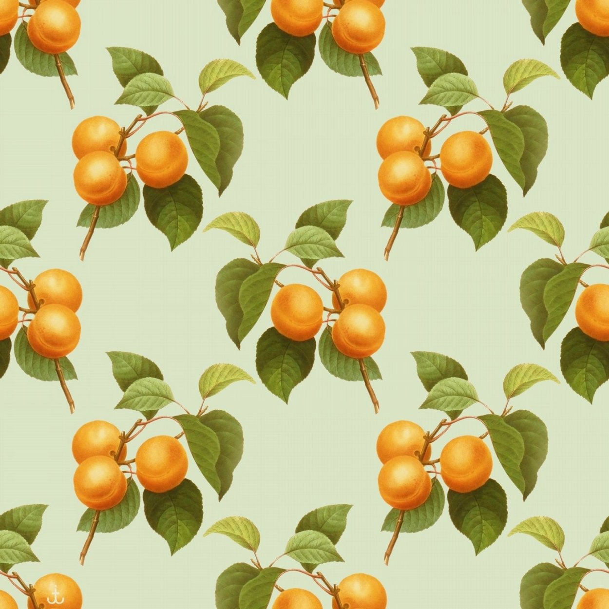 Орнамент абрикос