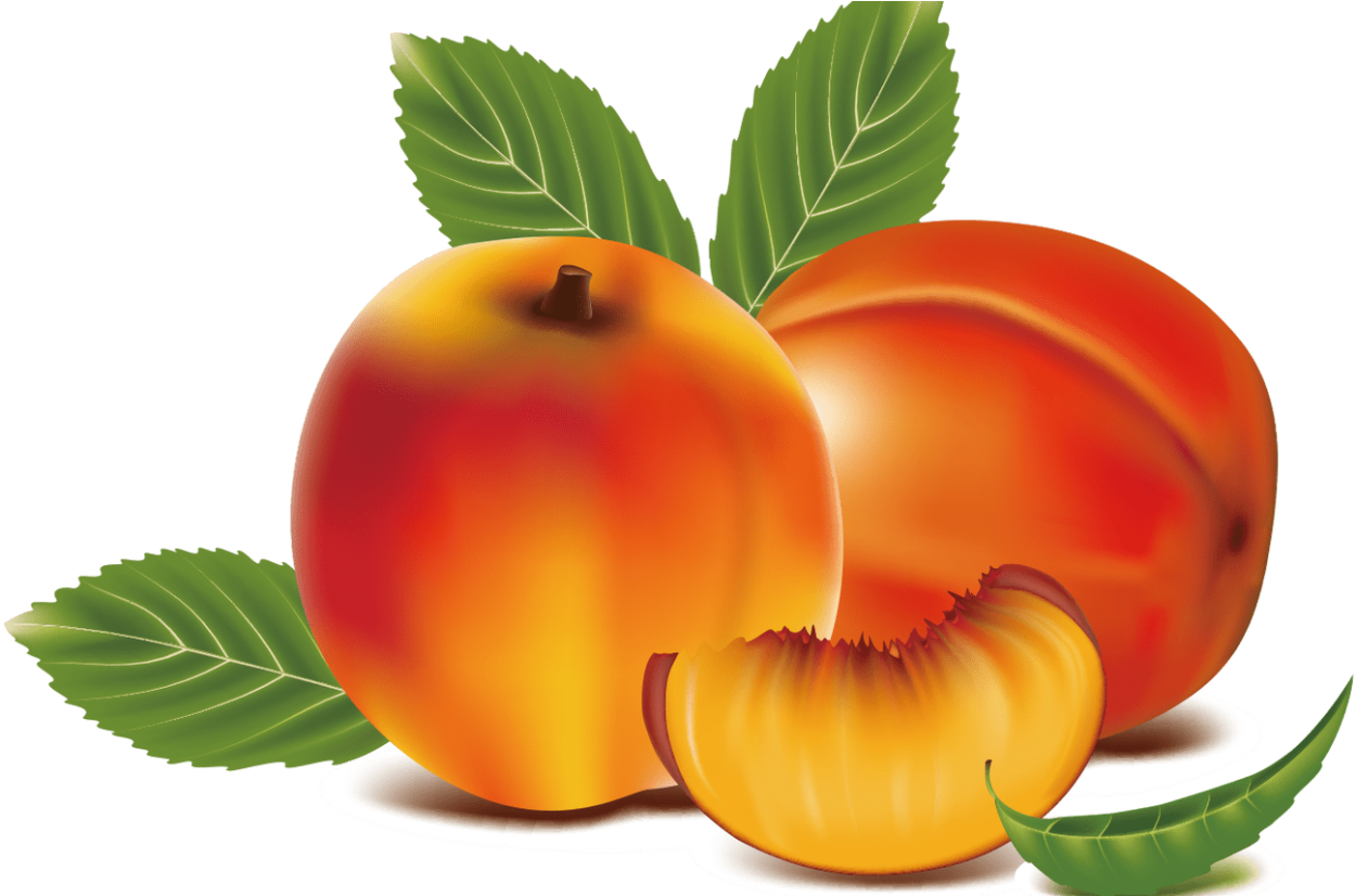 Персик вектор