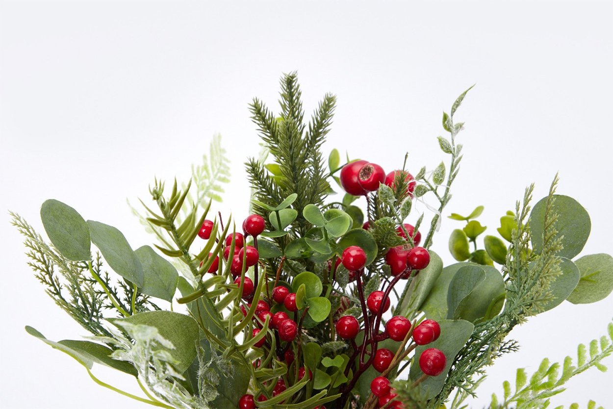 Ягоды можжевельника Крымского