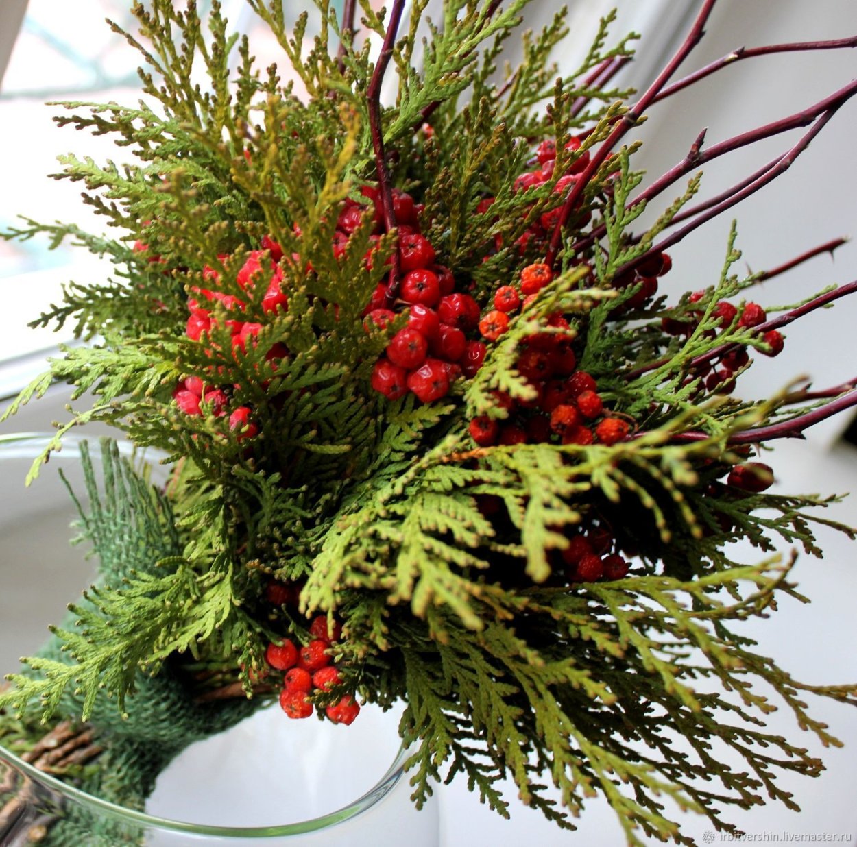 Можжевельник Саржента