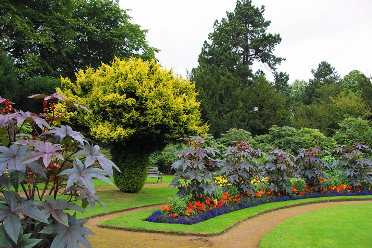 Великобритании Салы сады
