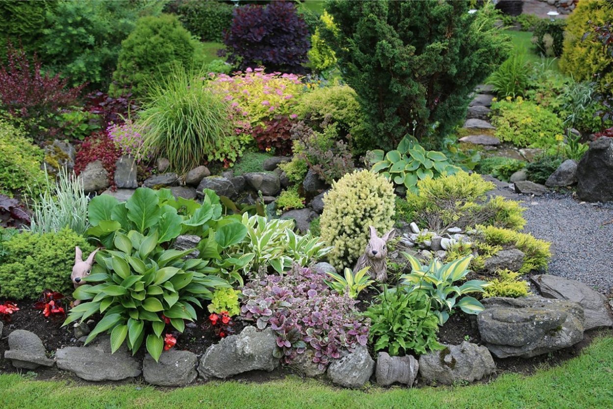 Альпийская горка Хоста можжевельник