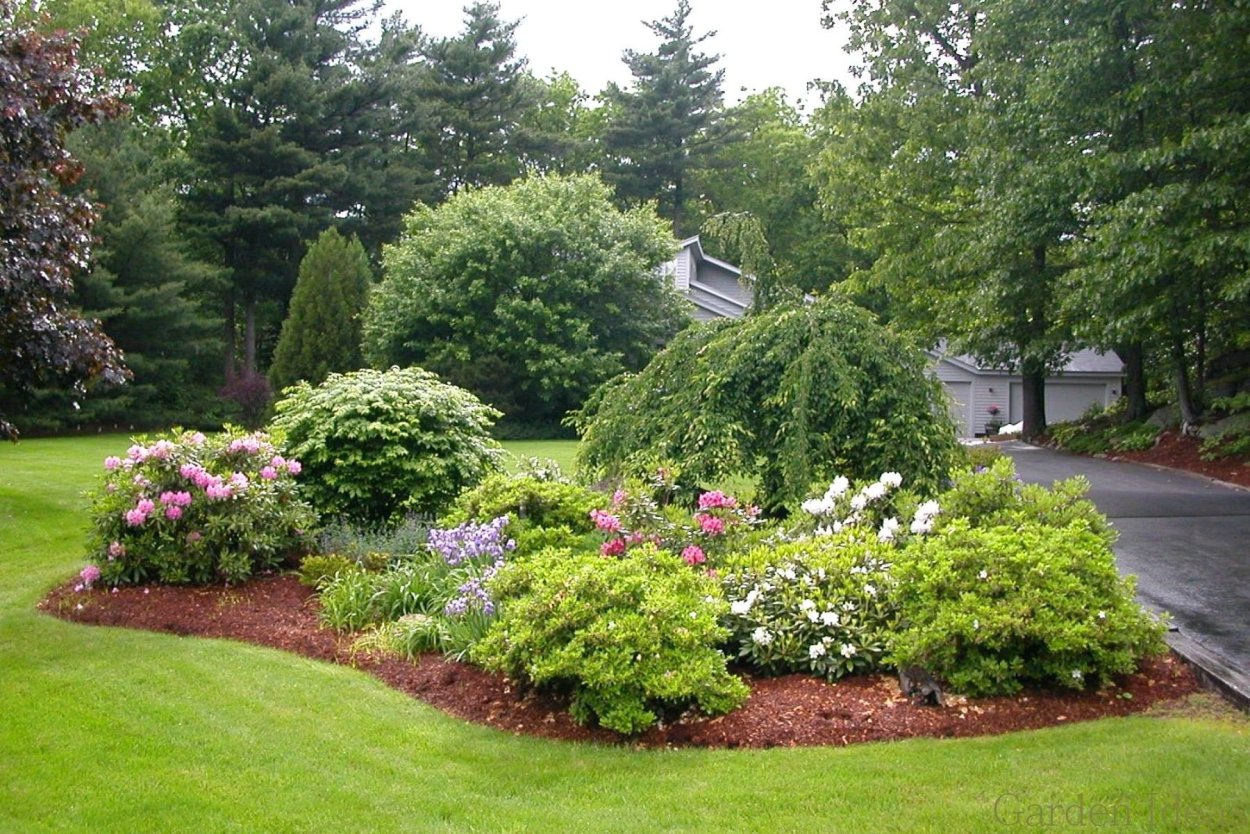 Ландшафтная композиция в парке