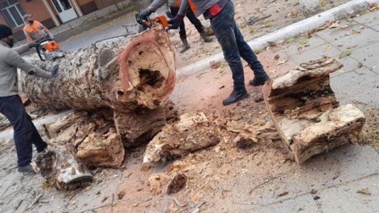 Хавасхон Ахмедчонова