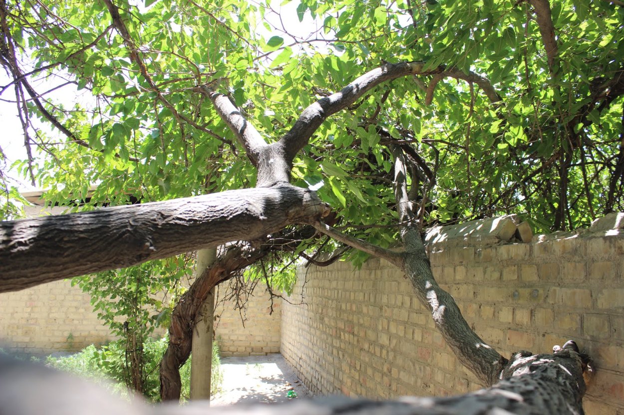 Рестораны в Сукок