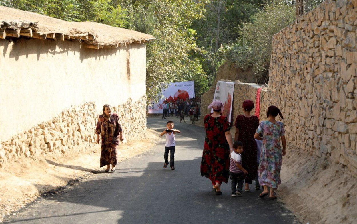 Терак кучат