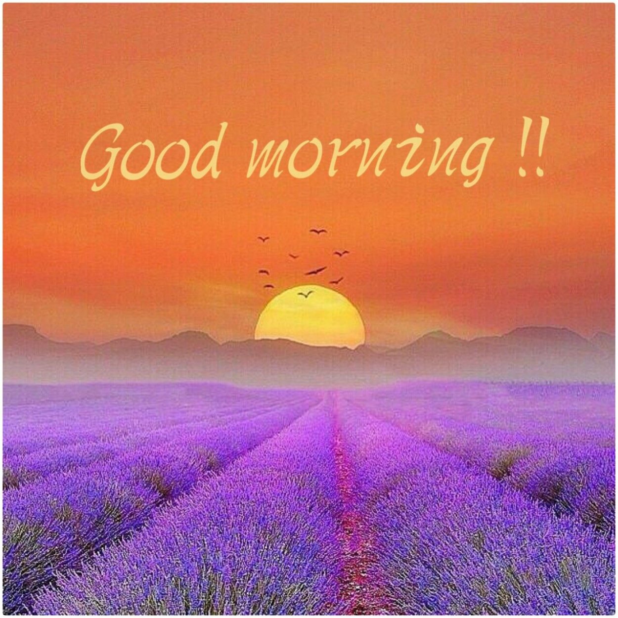 Желто-фиолетовый пейзаж