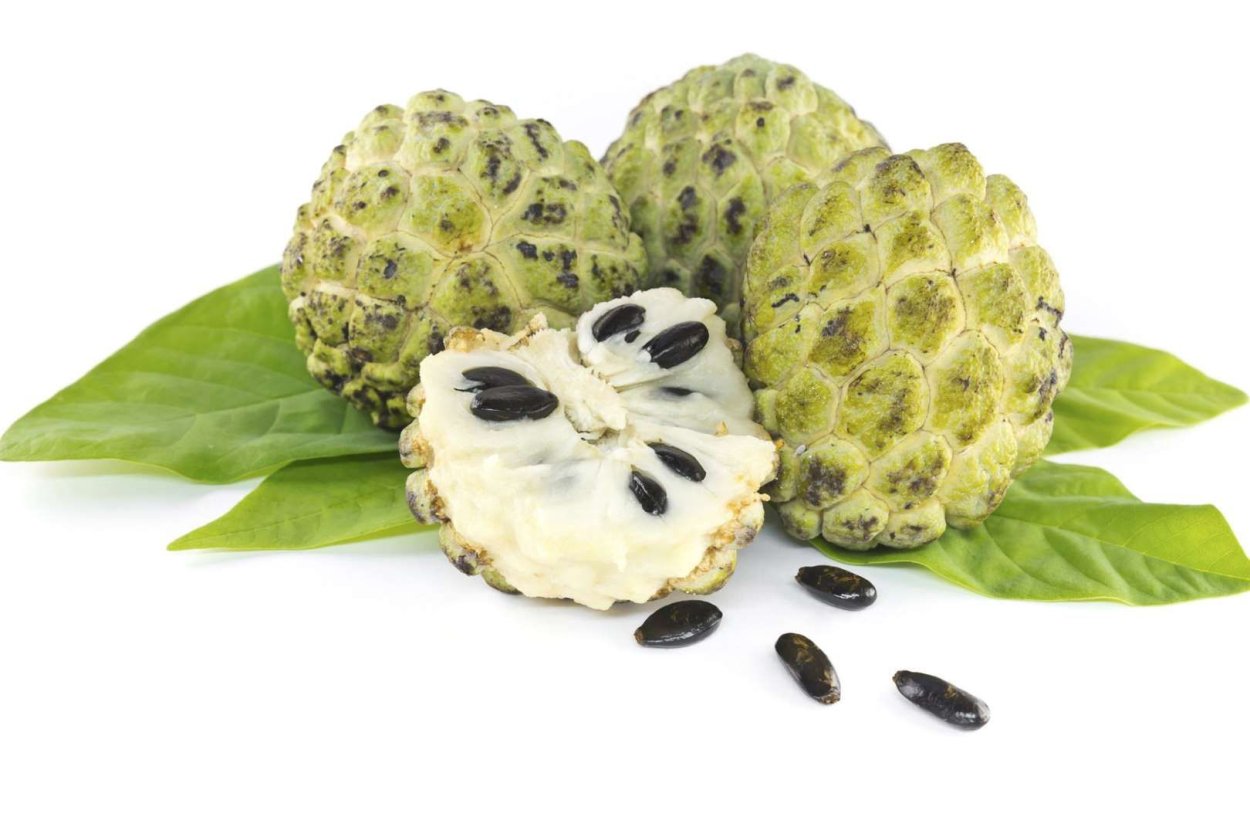 Рамбутан черимойя