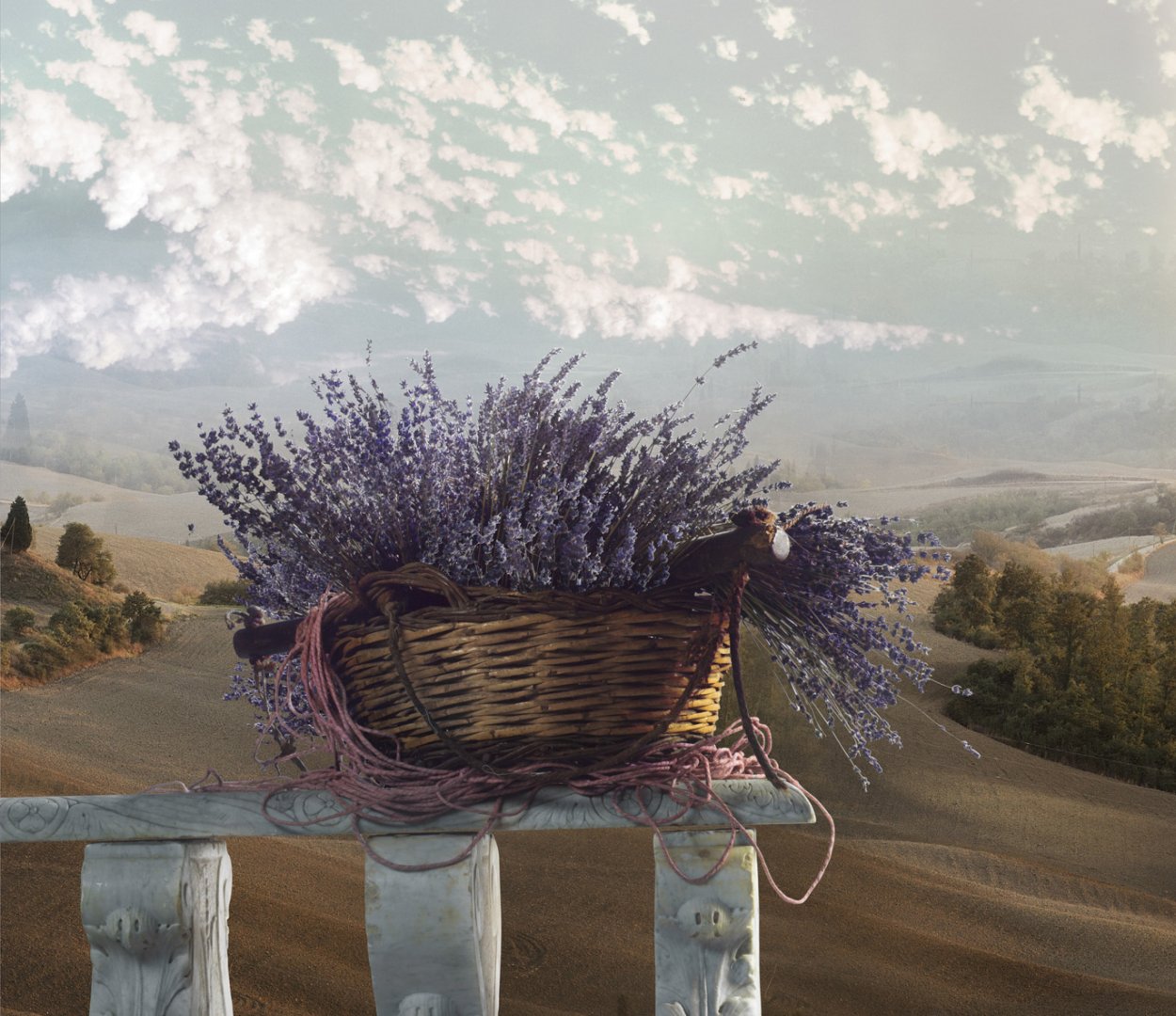 Велосипед Прованс