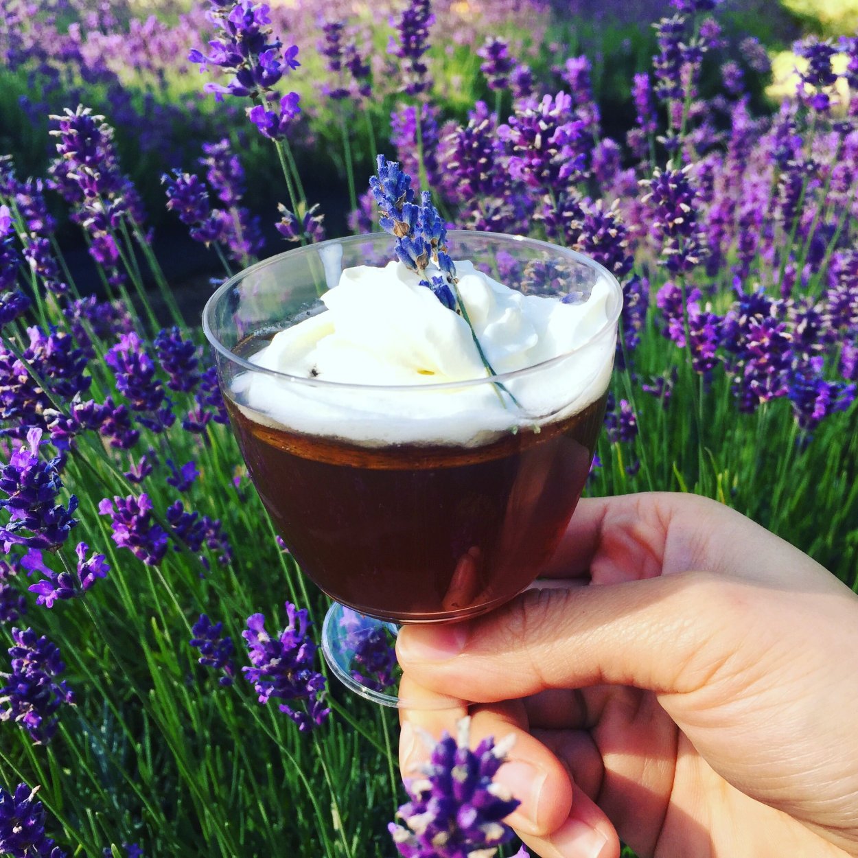 Лаванда Теа