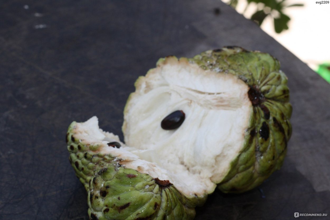 Сахарное яблоко Египет