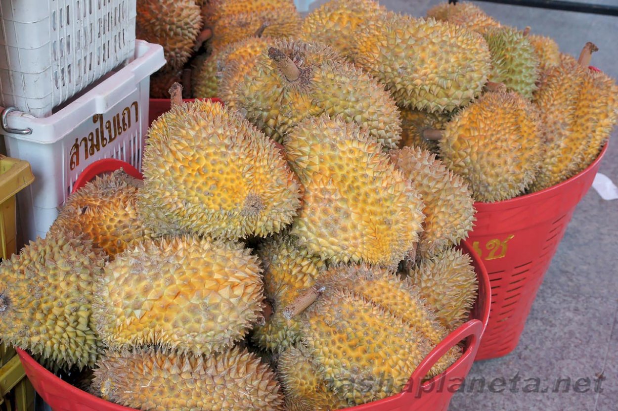 Аннона гуанабана семена