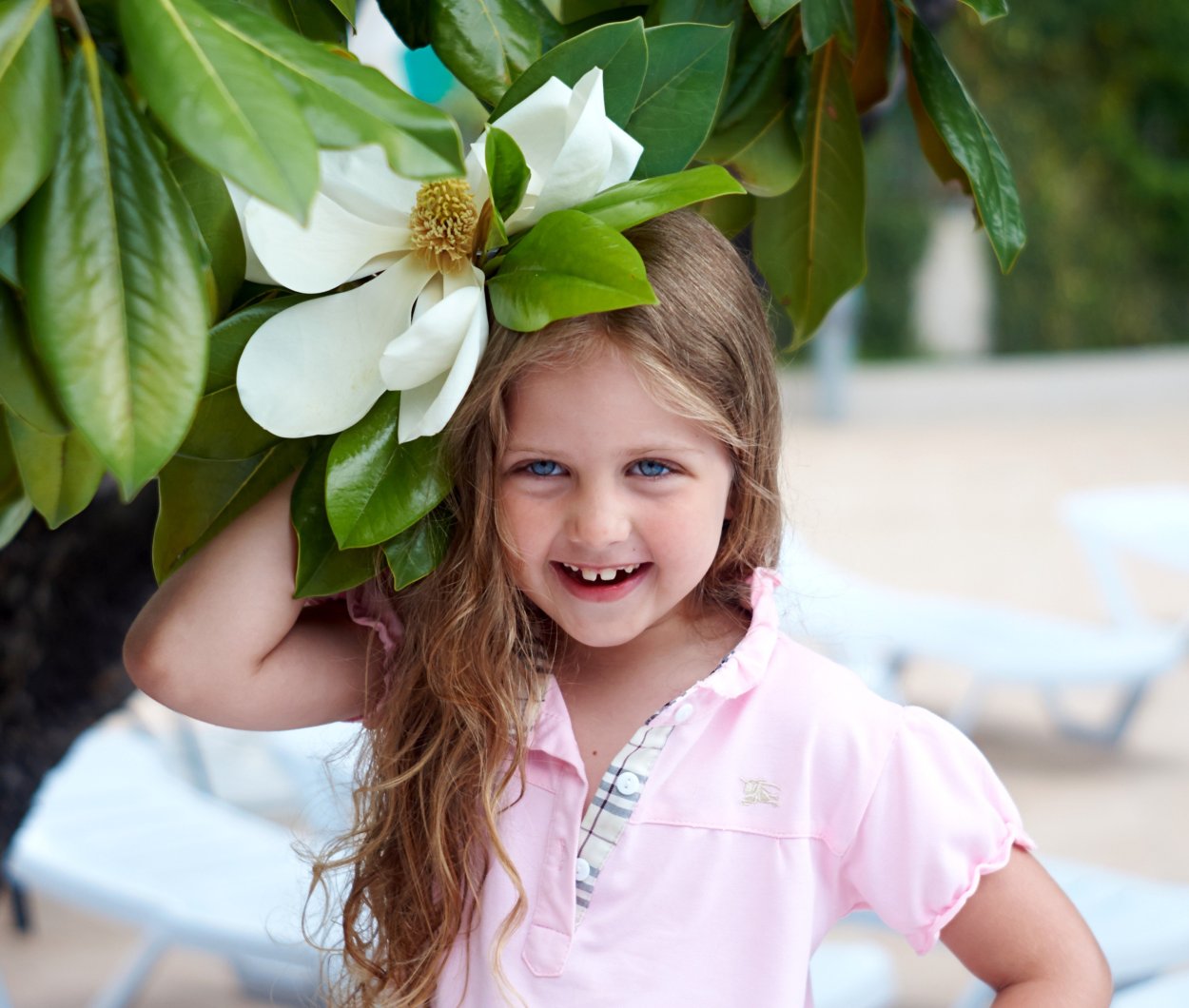 Райский цветок Ясмина