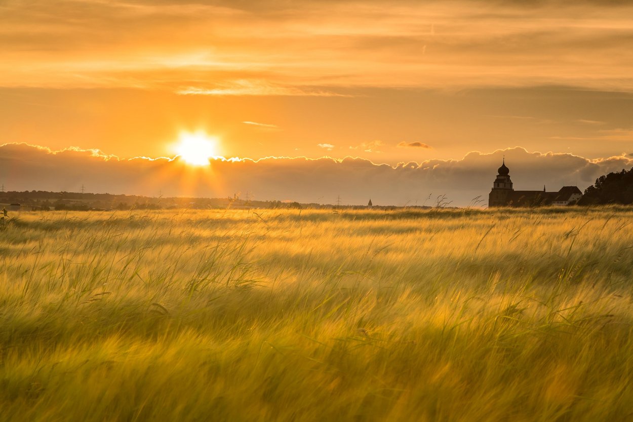 Фото рассвета в поле