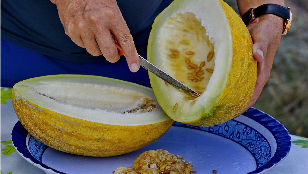 Дыня Туркменистан