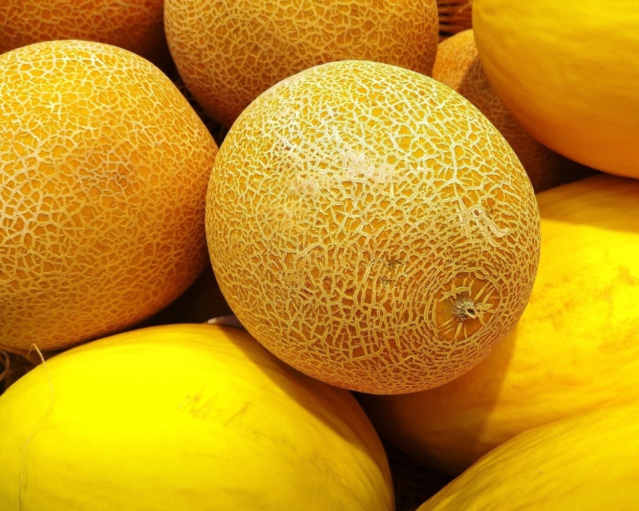 Кобра в дыне