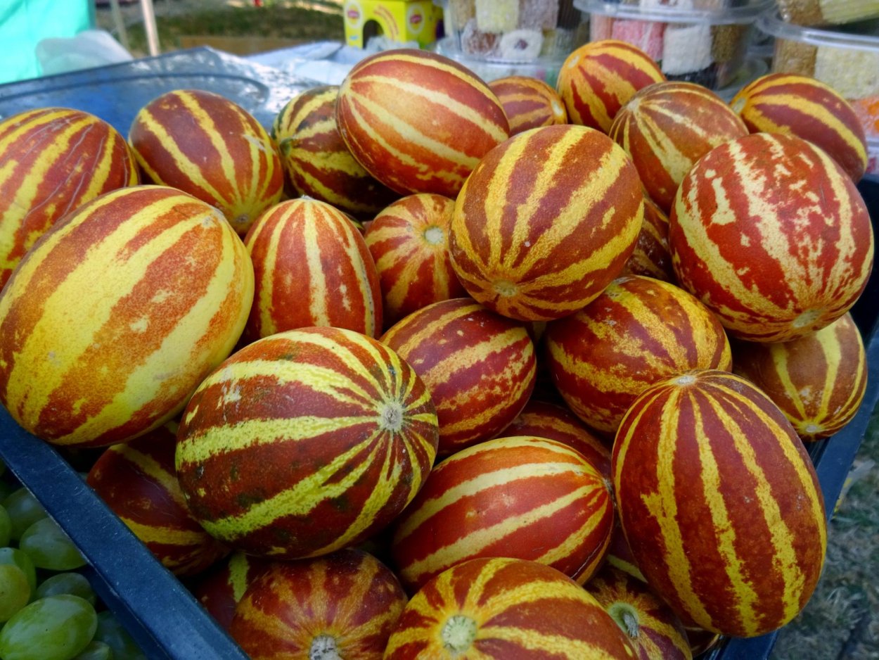 Дыня ананас